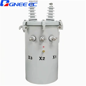 Oil Immersed Single Phase Pole Mounted Transformer